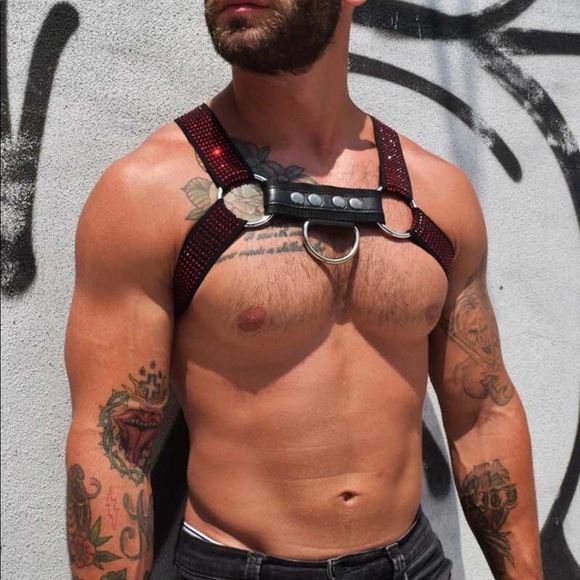 Breedwell Other - Breedwell- Circuit Harnesses - Studded